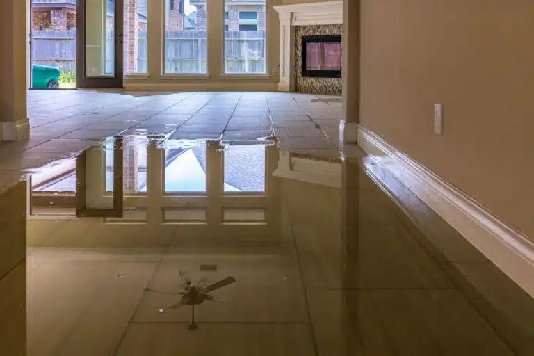 Standing water covering a living room floor