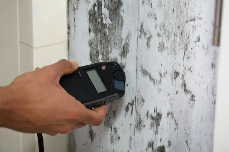 Moisture meter held against a mold-stained wall