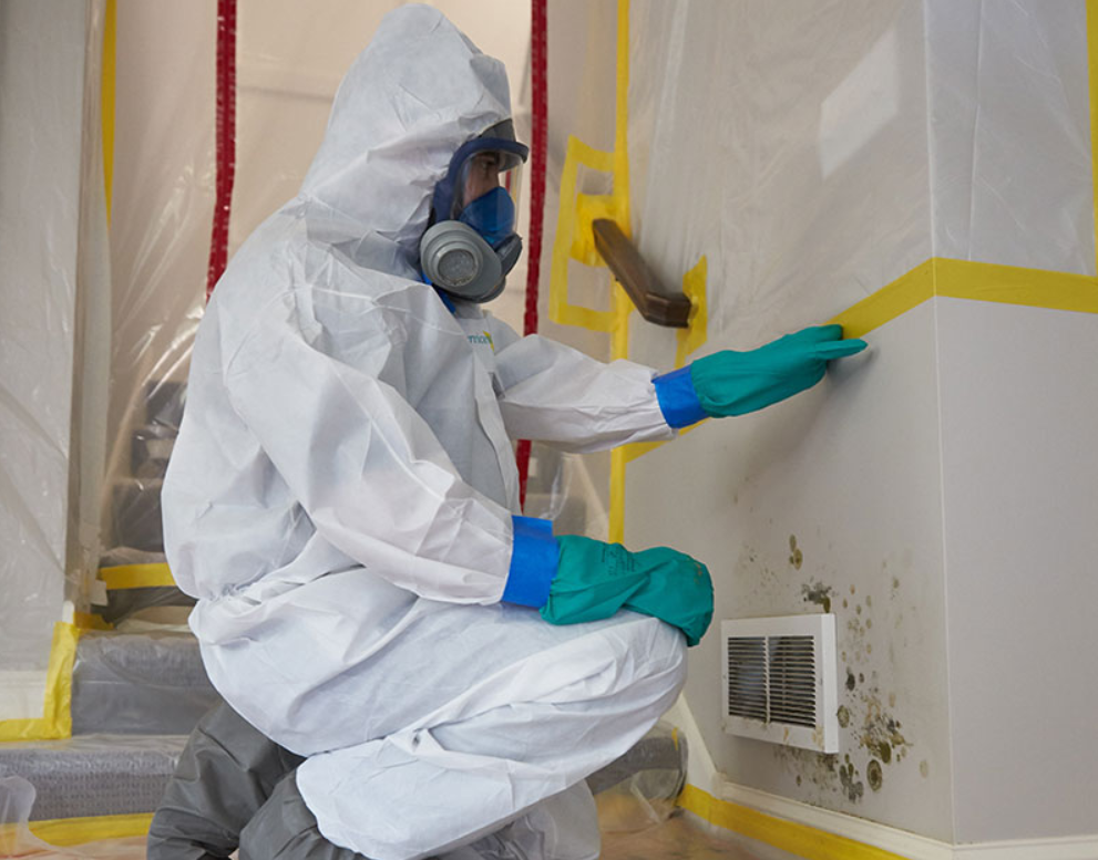 Mold Remediation And Inspection San Diego
