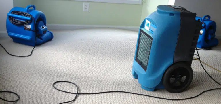 Air movers and a dehumidifier set up on carpet to dry a room