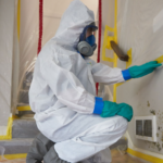 Hiring A Professional For A Mold Inspection In San Diego